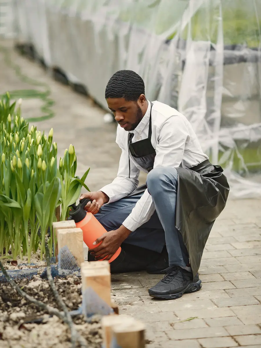Coastal Futures Network, a young green entrepreneur tending plants in coastal West Africa