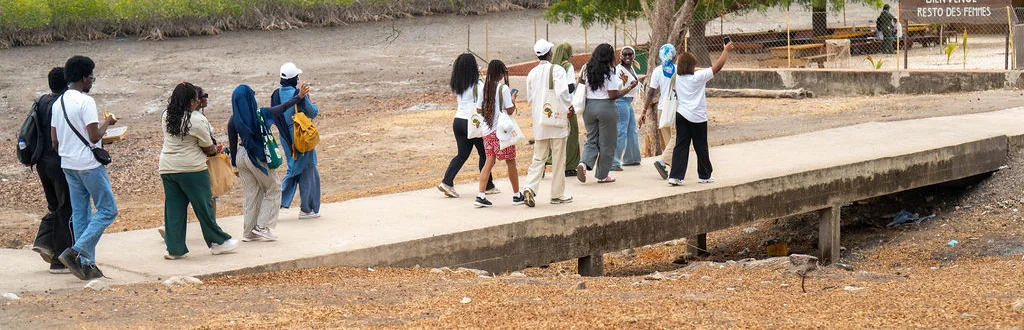Young participants walking on a footbridge along the mangrove, Senegal